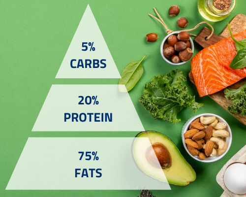 Diagram illustrating the ketogenic diet, with 75% fats, 20% protein, and 5% carbs